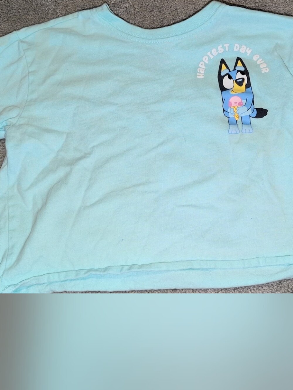 Bluey Crop tee. Cute! Size 4T